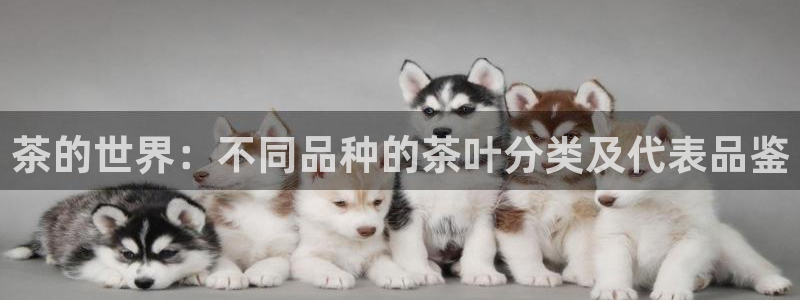 安信12平台下载