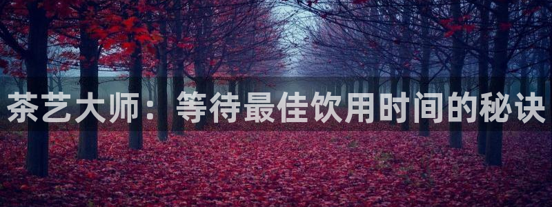 安信12位资金账号