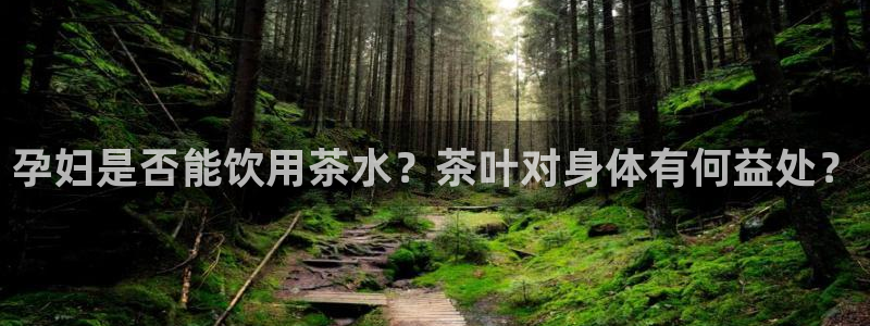 安信12专用挂机