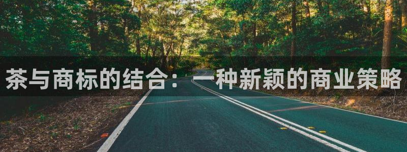 安信12平台开户