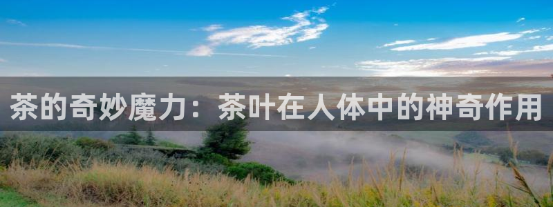 安信锐赢134号12月