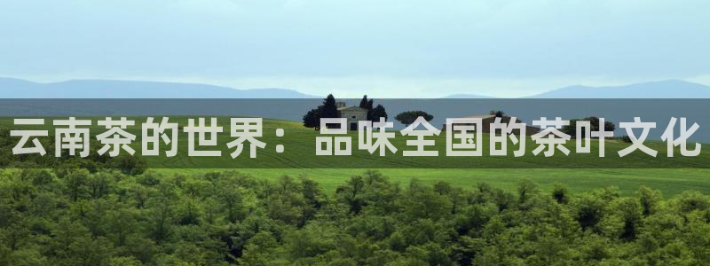 安信12平台开户