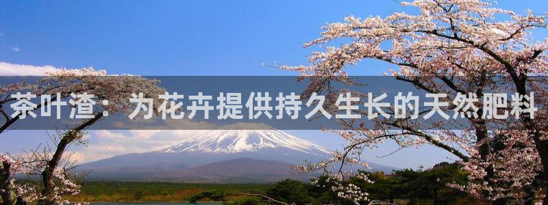 安信主管ke金12手12指ho