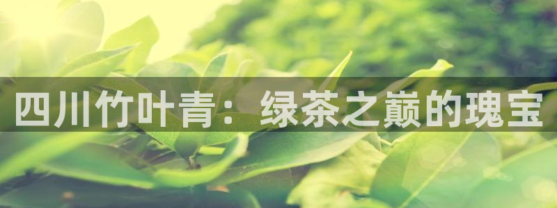 安信12平台下载