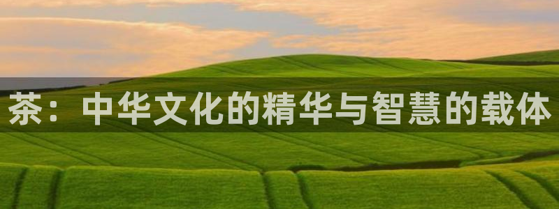 安信12登录地址