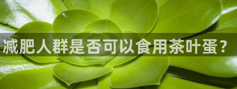 安信12平台怎么样