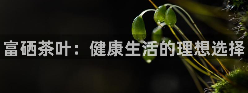 安信锐赢134号12月