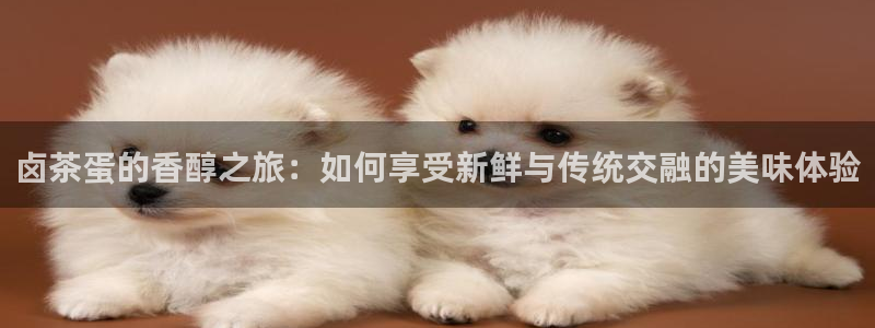 安信4娱乐去55 12