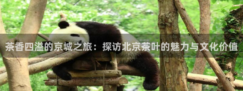 安信12平台官网