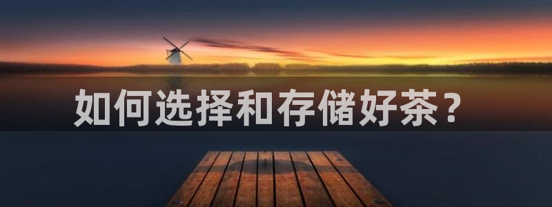 安信12官方网站查询