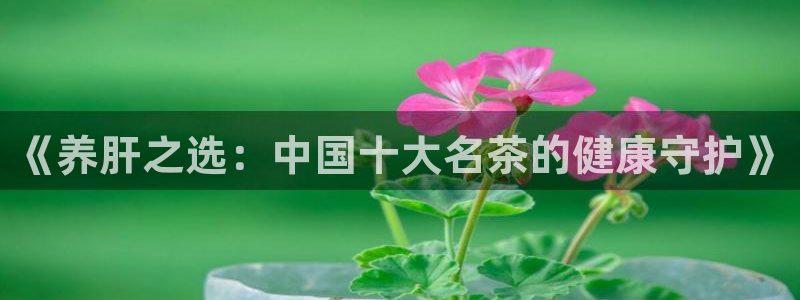 安信12平台怎么样