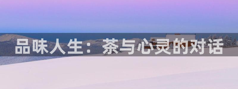 安信12正版下载
