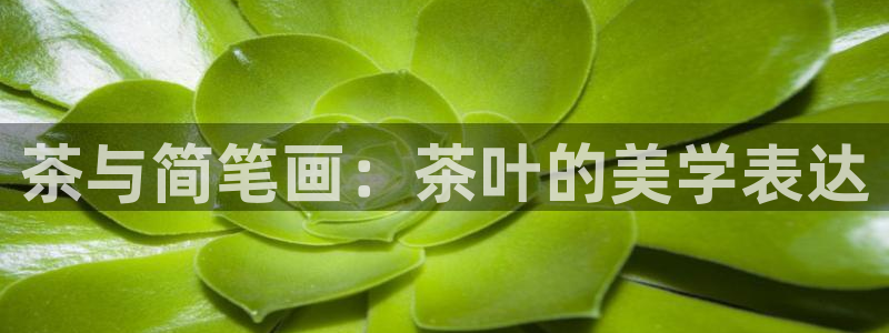 安信12平台的网址