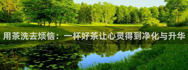 安信12娱乐注册