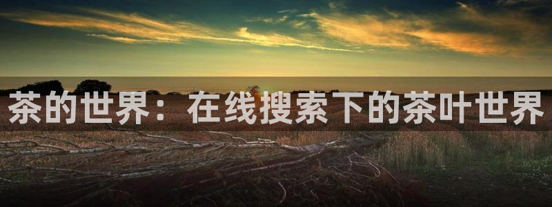 安信主管ke金12手12指ho