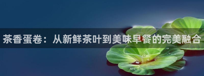 安信12是什么软件