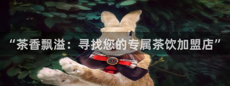 安信12注册