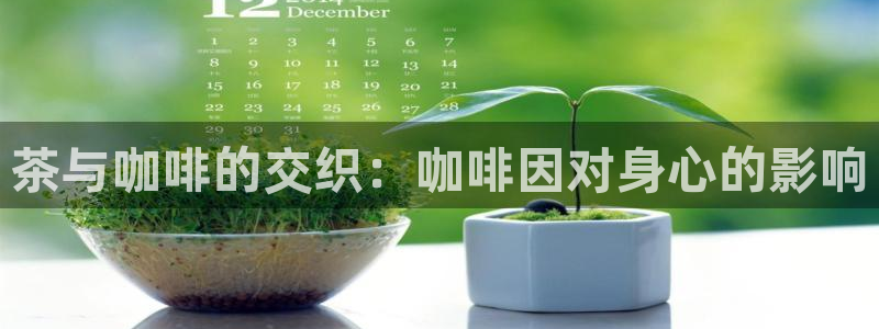 安信12是做什么