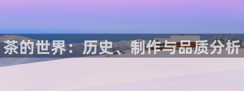 安信t12