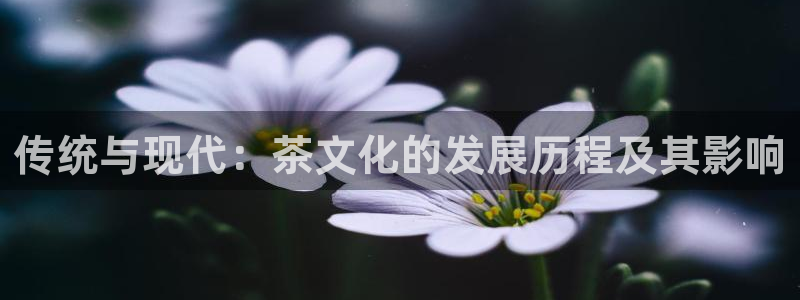 安信4娱乐去55 12