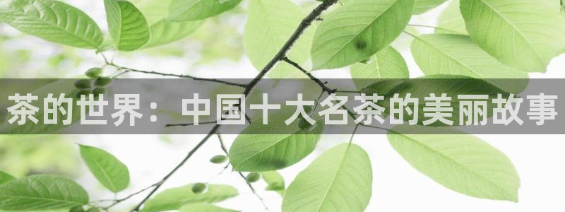 安信地板12mm