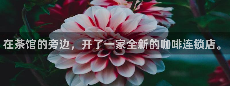 安信12怎么注册