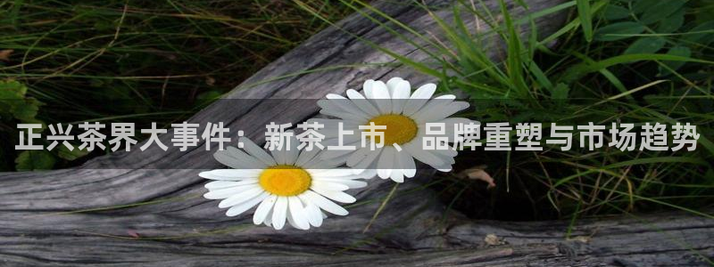 安信12是什么