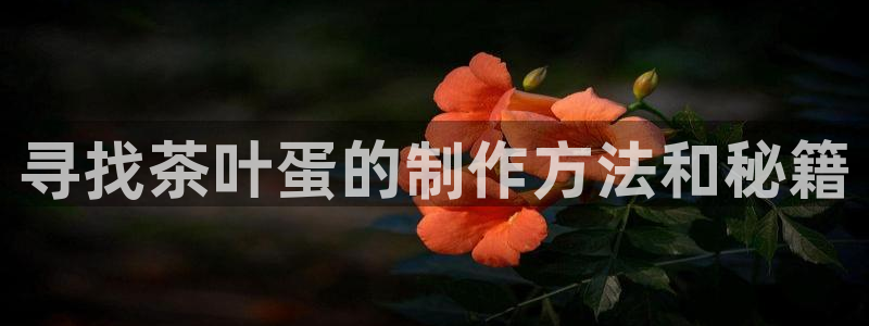安信可12f
