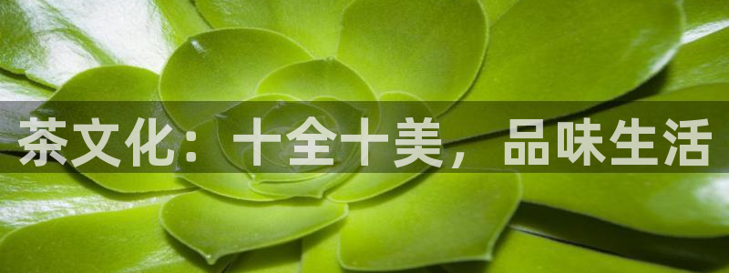 安信12是什么软件