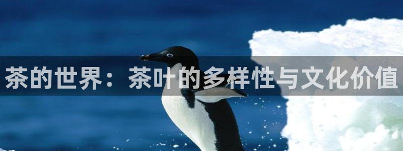 安信12app