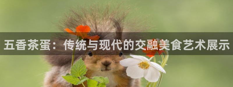 安信12网站