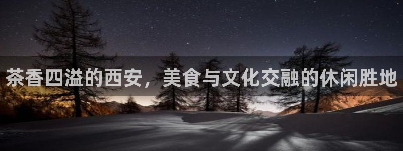 安信证券手机壳12