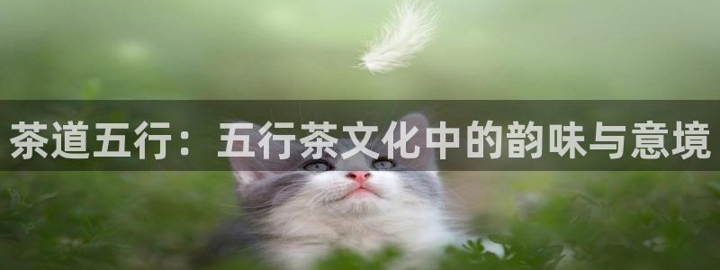 安信12娱乐招商探索空间
