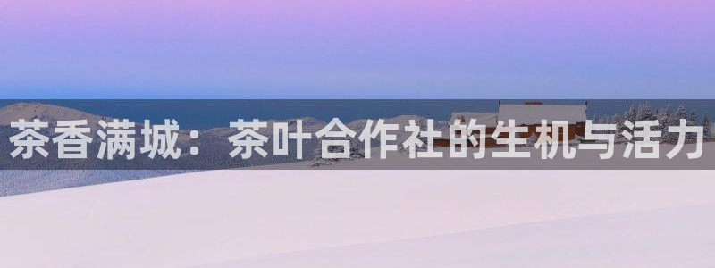 安信可12e12f