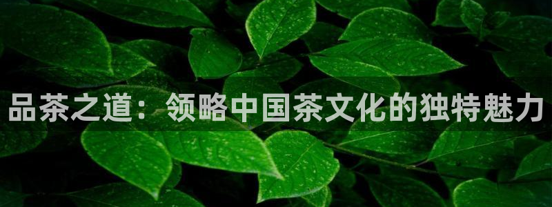 安信12注册登录