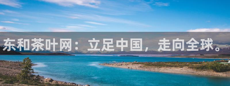 安信12是什么
