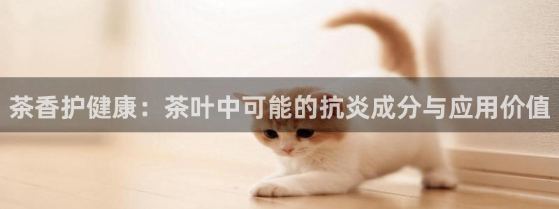 下载安信12