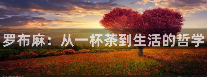 安信12平台的网址