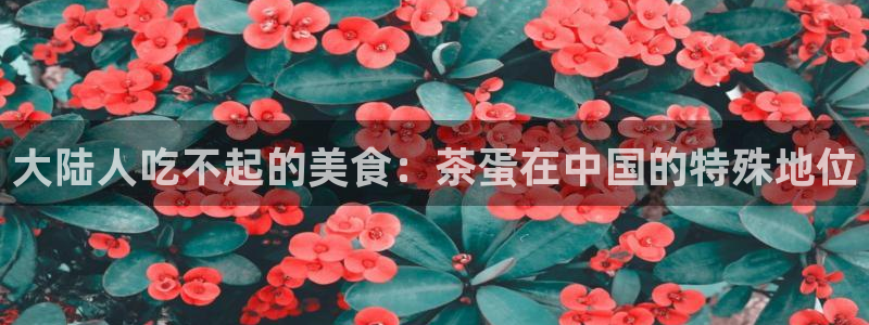 安信12平台