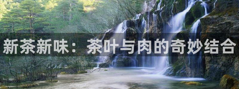 安信12怎么注册
