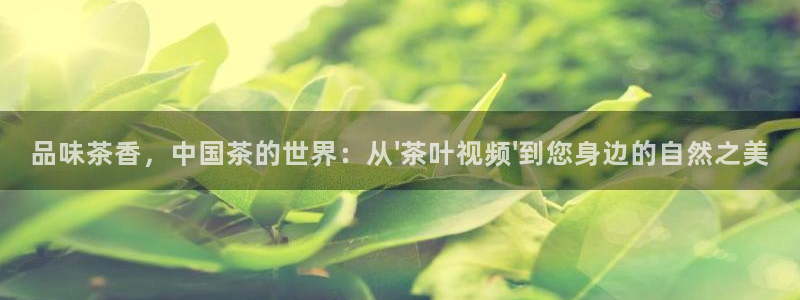 安信12平台下载