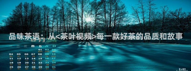 安信12赛车
