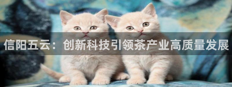 安信12挂机