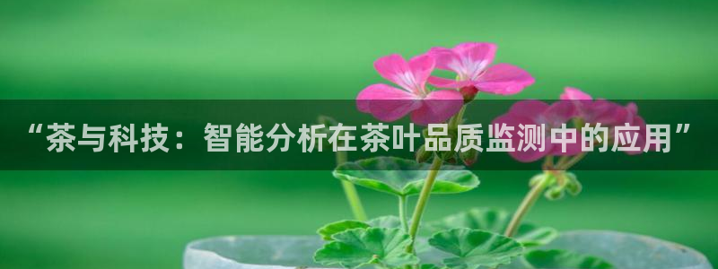 安信12是什么平台