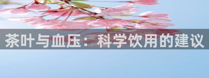 如何注销安信12软件