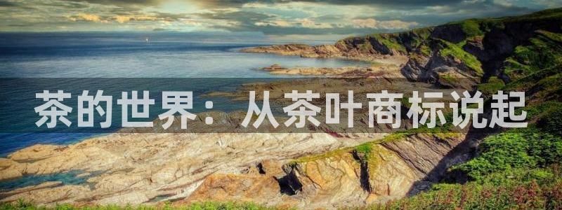 安信12是正轨网站吗
