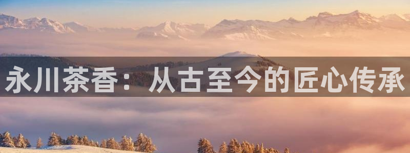 安信12
